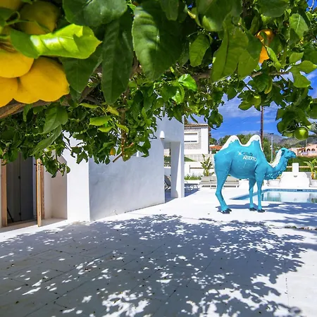 Bohemia By Interhome * Calpe